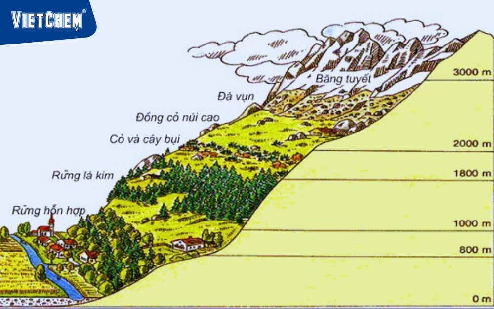 the-vanh-dai-thuc-vat-theo-cao-o-nui-an-po