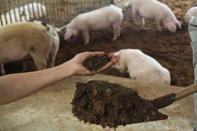 Lưu ý khi sử dụng