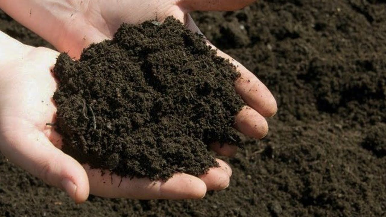 CÔNG DỤNG CỦA TẬP TRUNG BẮC