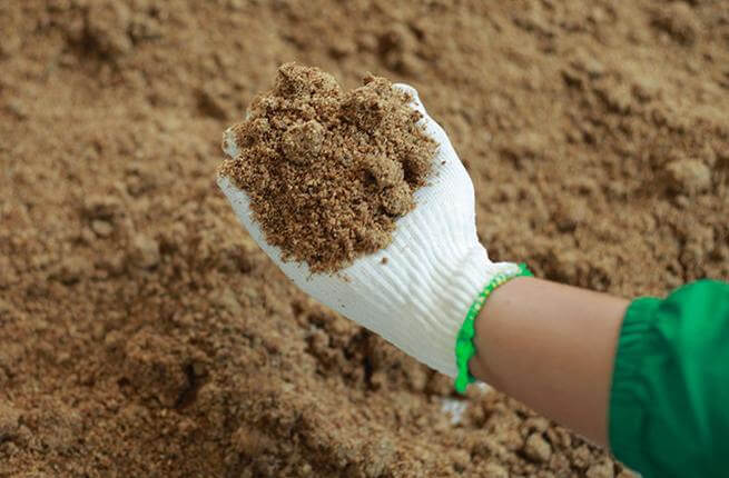 CÁC LOẠI PHÂN BÓN DẦU