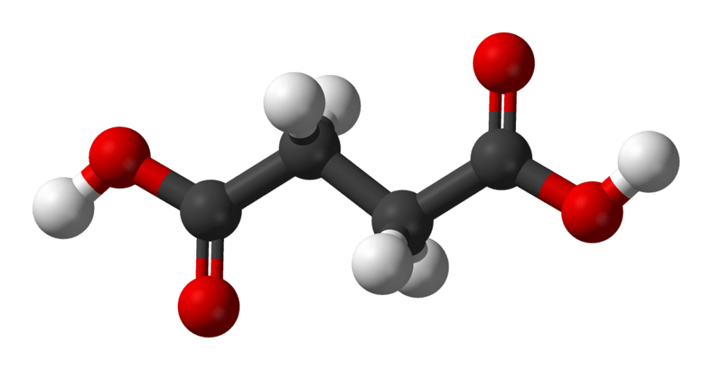 Axit SUCCINIC LÀ GÌ?