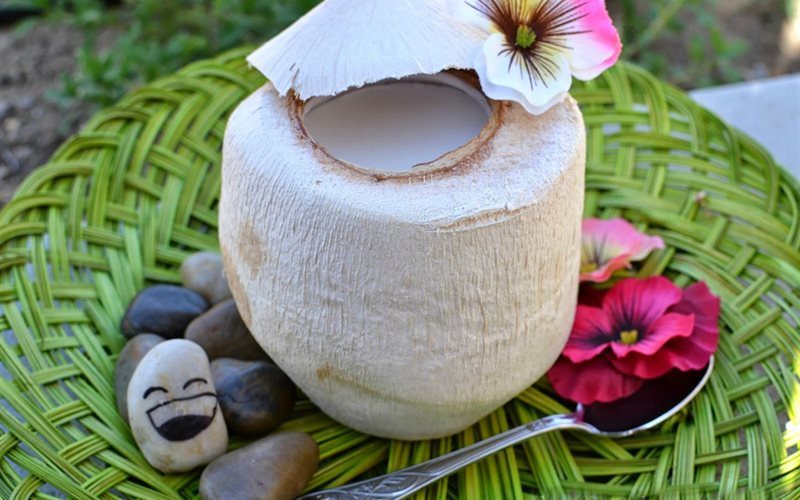 CÁCH CHẾ BIẾN THỨC ĂN BẰNG BỘT THẠO