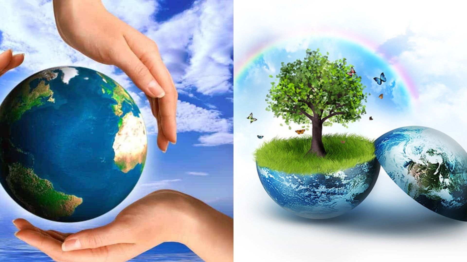 Vai trò của tầng Ozone đối với con người và trái đất