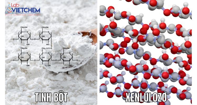 Công thức cấu tạo của tinh bột và xelulo