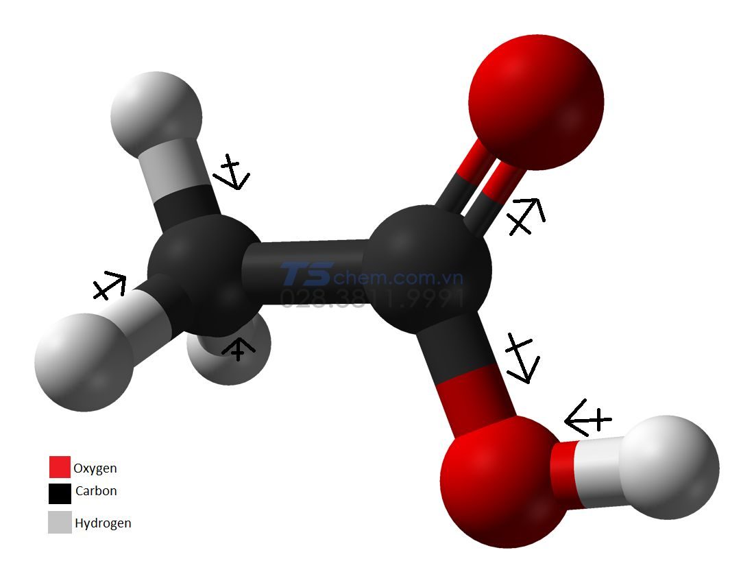 Cấu trúc phân tử của Axit Benzoic là gì?
