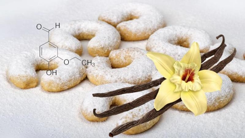 Vaniline có nguồn gốc từ hoa lan leo