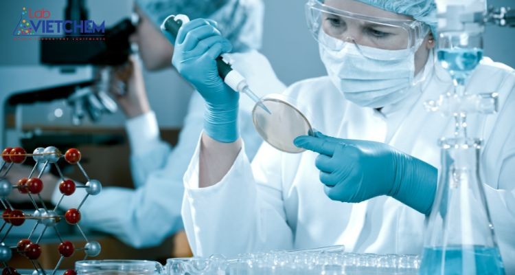 phòng thí nghiệm hóa sinh