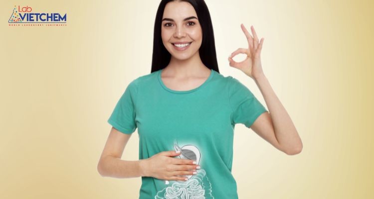 Giấm táo hỗ trợ hệ tiêu hóa