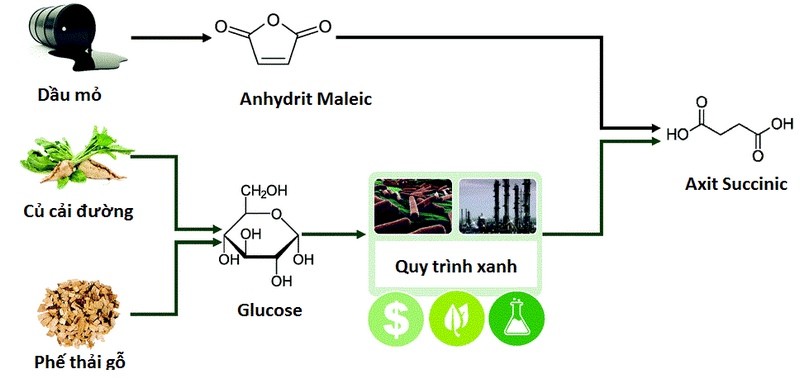 Các phương pháp sản xuất axit Succinic phổ biến