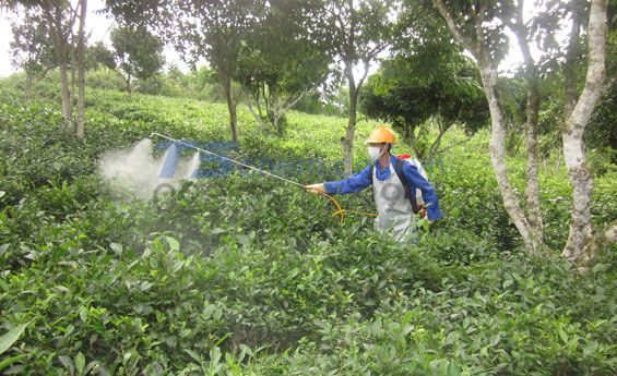 H3PO3 - Axit Phốt pho được ứng dụng trong nông nghiệp: