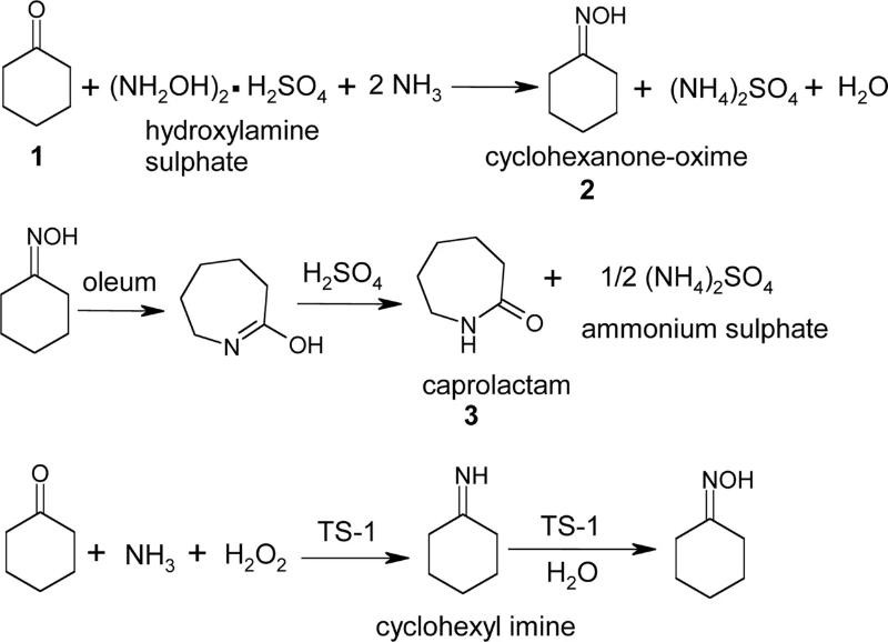tổng hợp caprolactam