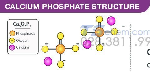 CHUẨN BỊ CANXI PHOTPHAT