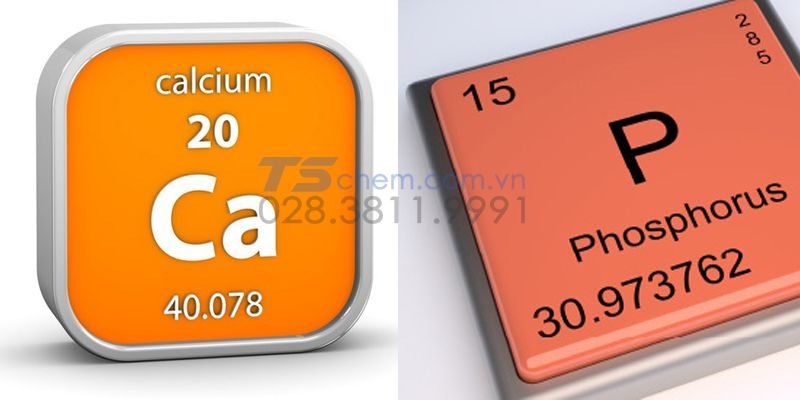 Công dụng nổi bật nhất của canxi photphat là trong y học.