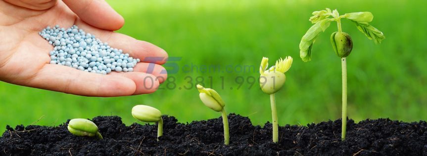 Phân bón hữu cơ là gì? Phân bón sinh học là gì?