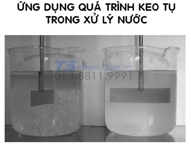 ỨNG DỤNG FECL2 TRONG XỬ LÝ NƯỚC THẢI QUA ĐÔNG TRANG