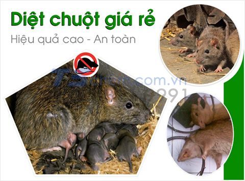 BaCO3 được sử dụng trong sản xuất thuốc diệt chuột