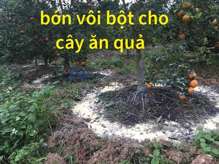 Công dụng của vôi tôi