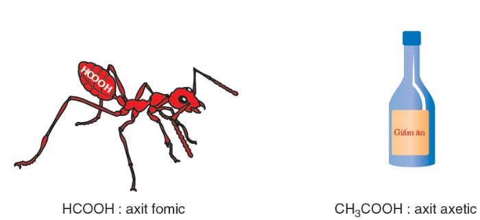 CHUẨN BỊ Axit FOMIC