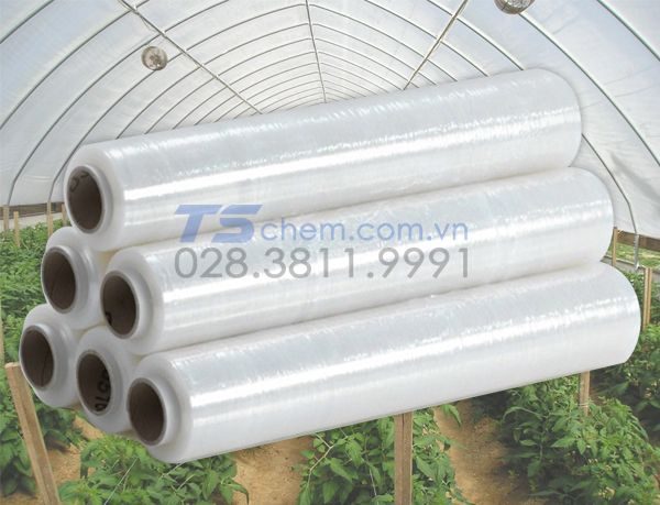 Ứng dụng của màng PE