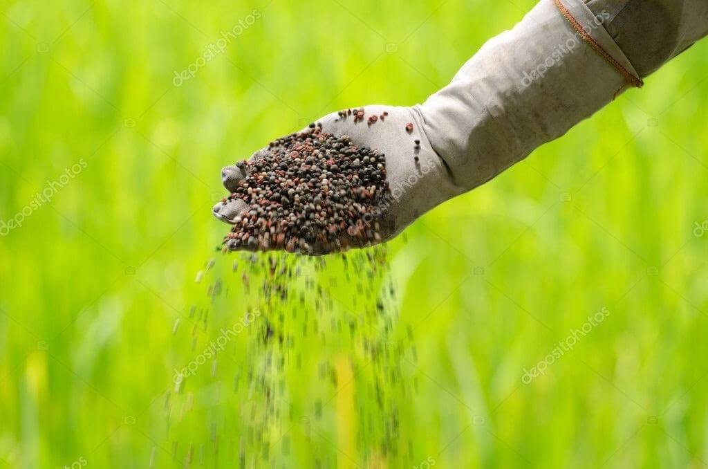 Ứng dụng hóa chất trong sản xuất phân bón