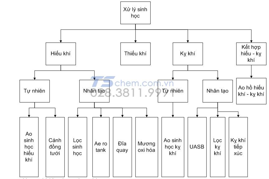 PHƯƠNG PHÁP XỬ LÝ NO2 SINH HỌC