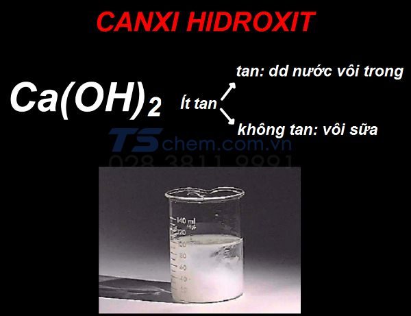 CA(OH)2 LÀ CƠ SỞ QUAN TRỌNG