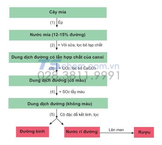 Quy trình sản xuất sucrose