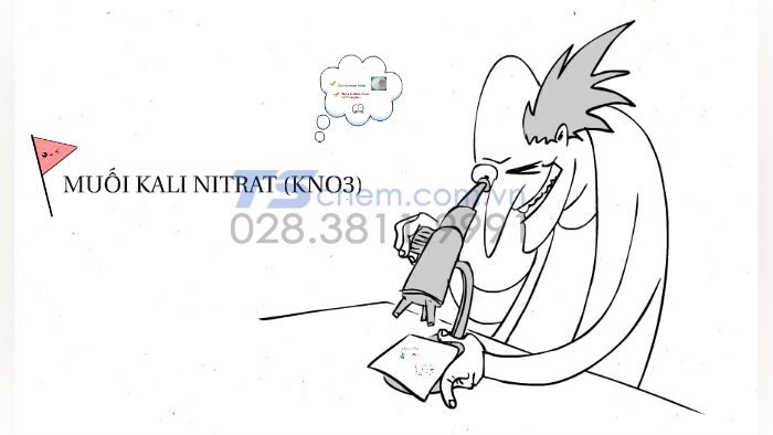 Cách điều chế KNO3