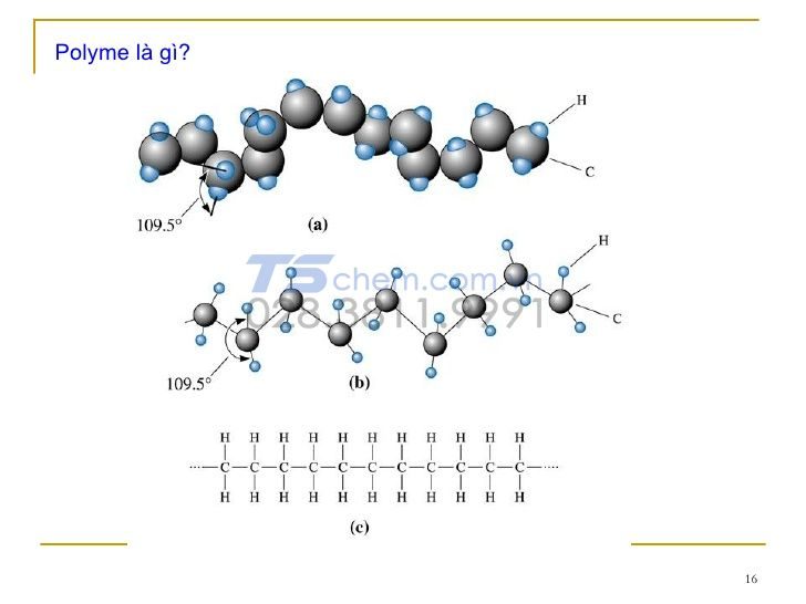Cấu trúc phân tử polyme