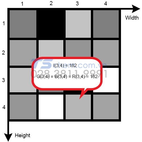 Thang độ xám trong thiết kế đồ họa