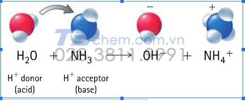 LÀM THẾ NÀO ĐỂ TẠO NH4?