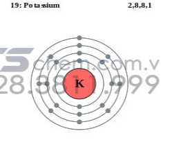 Cấu hình phân tử 