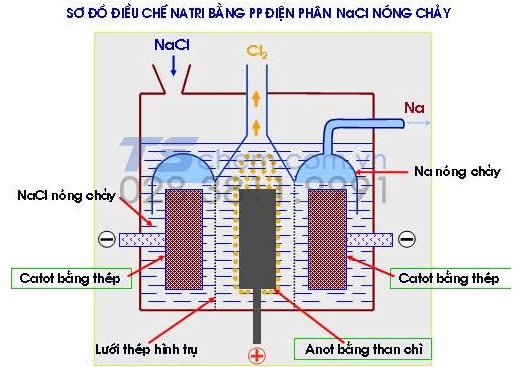 CHUẨN BỊ Natri (NATRI)