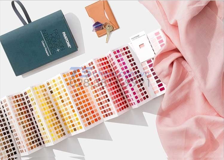 ỨNG DỤNG BẢNG MÀU PANTONE