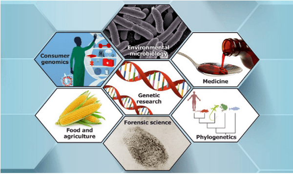 ỨNG DỤNG PCR 