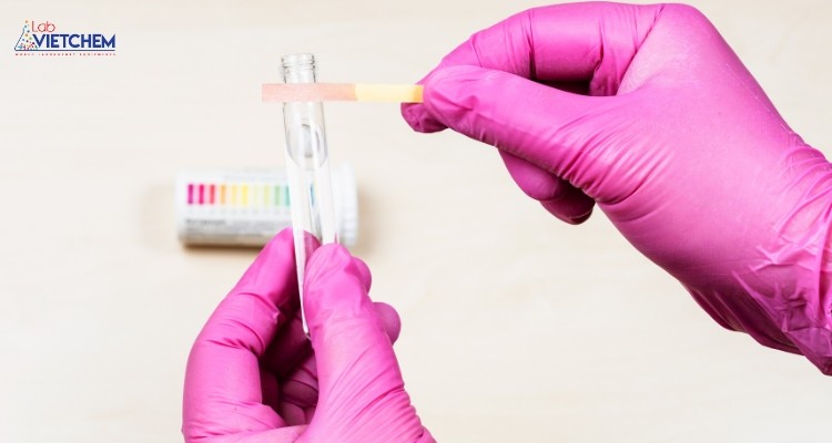 Xác định pH bằng giấy quỳ