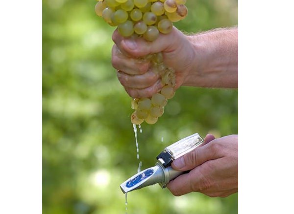 CÁCH KIỂM TRA ĐỘ BRIX