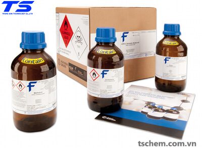 Bạn có thể trò chuyện với ngư dân chính tại Thành phố Hồ Chí Minh