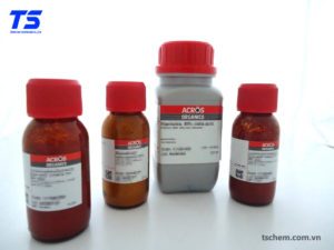 Cửa hàng hoa chat pha lê Arcos tọa lạc tại TP.HCM