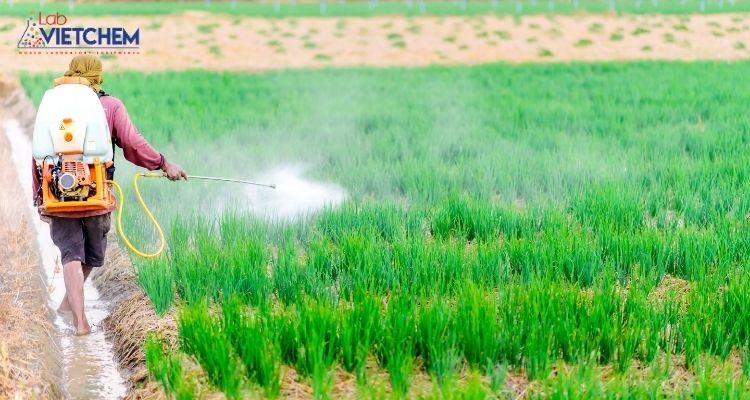 Xịt đúng nồng độ