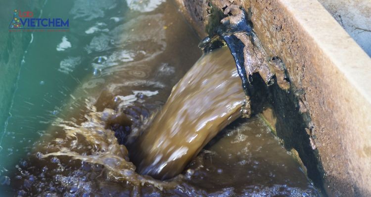 Nước thải sinh hoạt có màu nâu sẫm