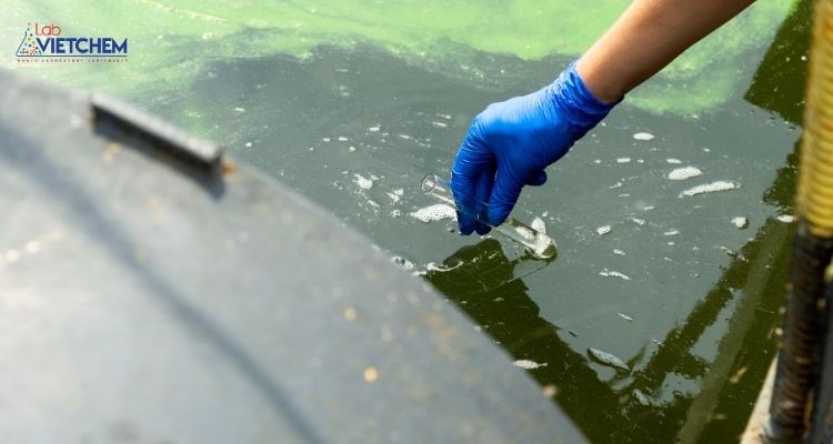 Thu thập mẫu nước thử nghiệm