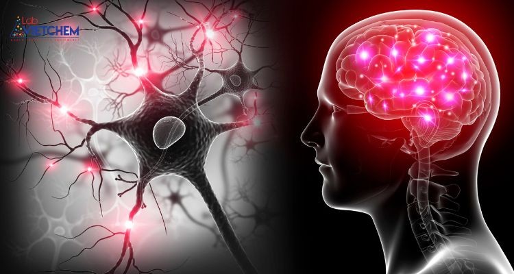 Hít phải hơi thủy ngân có thể gây tổn thương hệ thần kinh