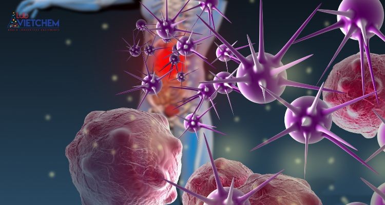 Sử dụng nguồn nước chứa kim loại nặng có thể khiến cơ thể suy yếu hệ miễn dịch