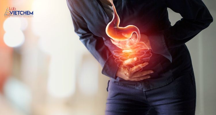 Axit butyric làm giảm nguy cơ tiêu chảy