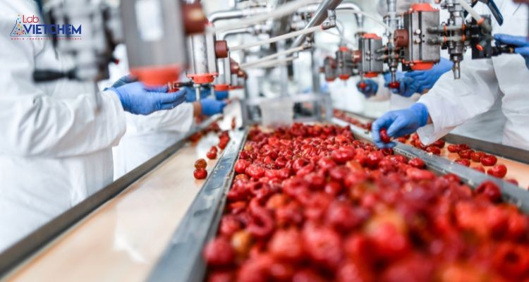 Công nhân chế biến thực phẩm