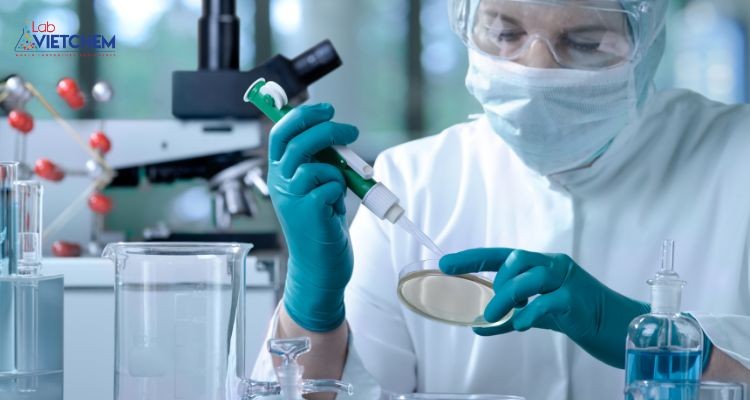 Nhân viên phòng nghiên cứu vi sinh