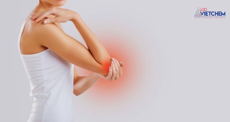 Ăn nhiều thực phẩm giàu axit có thể gây thoái hóa cơ, xương