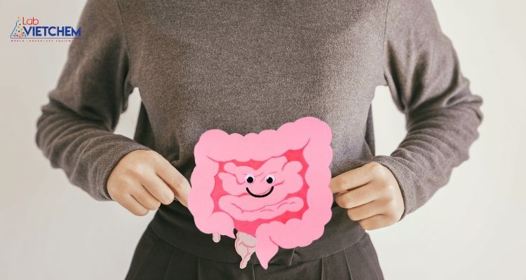 Nước kiềm cải thiện tiêu hóa