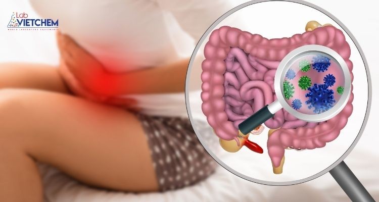 Maltodextrin có thể gây hại cho hệ vi sinh đường ruột